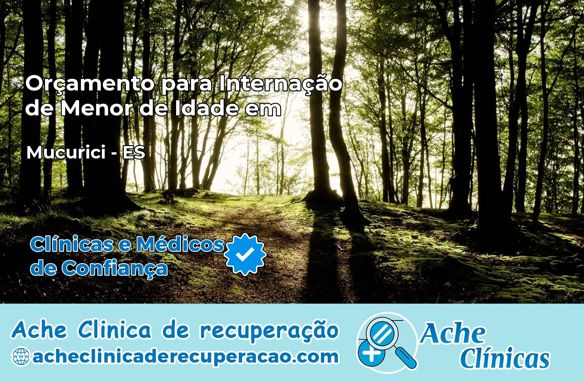 Internação de Menor de Idade em Mucurici – ES