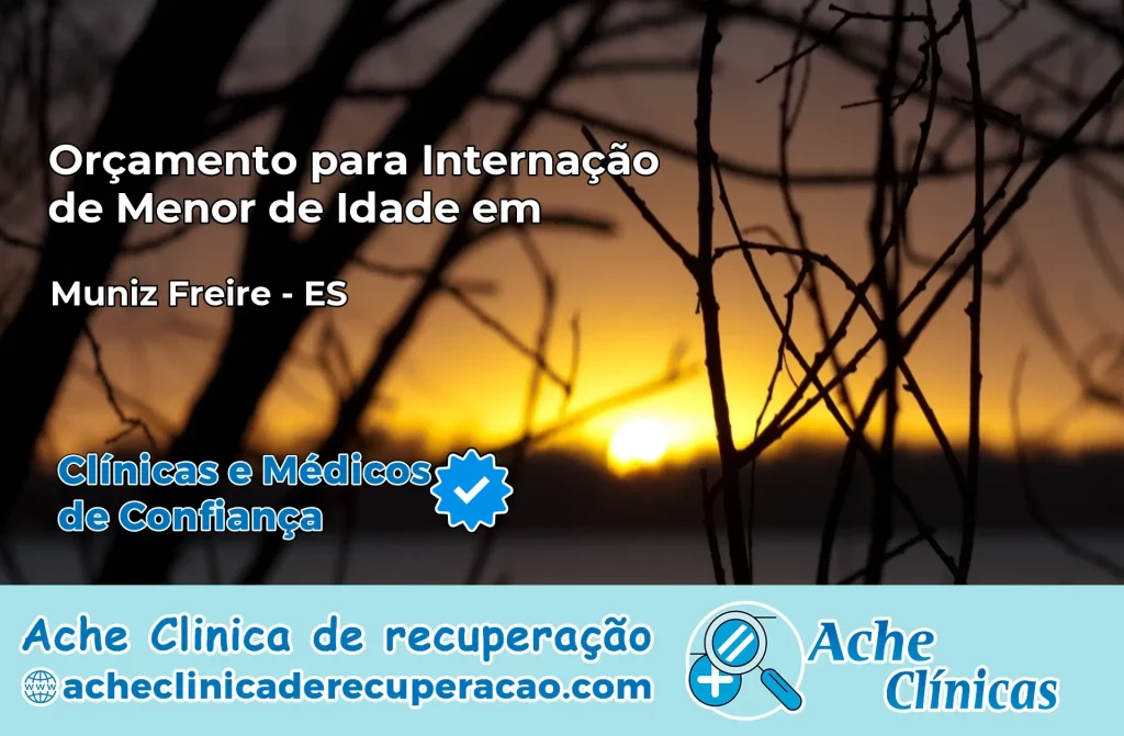 Internação de Menor de Idade em Muniz Freire – ES