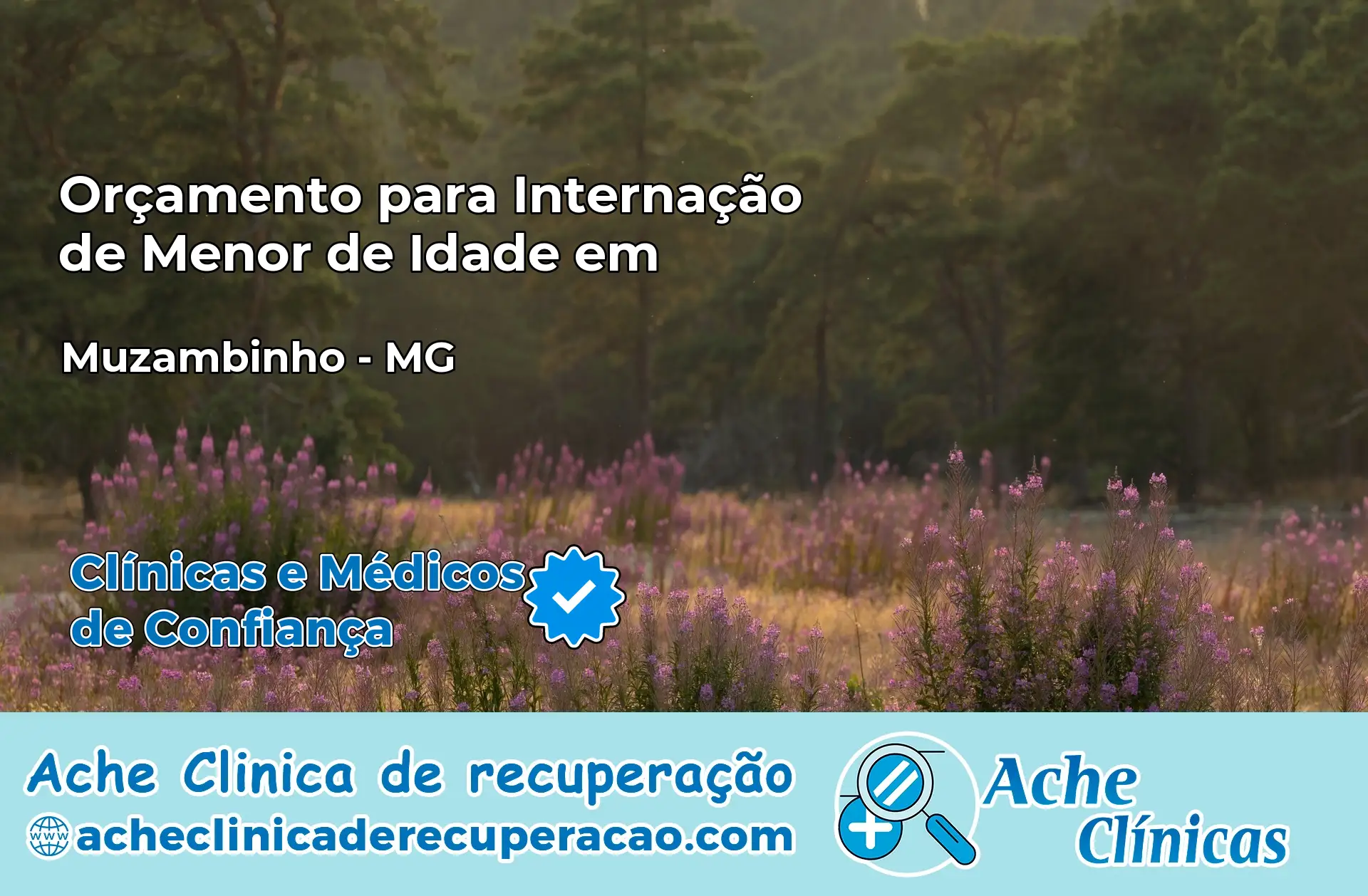 Internação de Menor de Idade em Muzambinho – MG