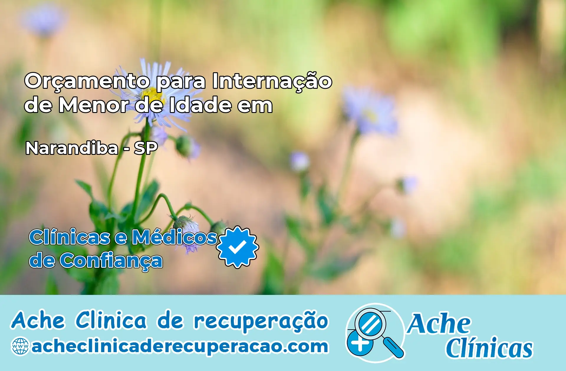 Internação de Menor de Idade em Narandiba – SP