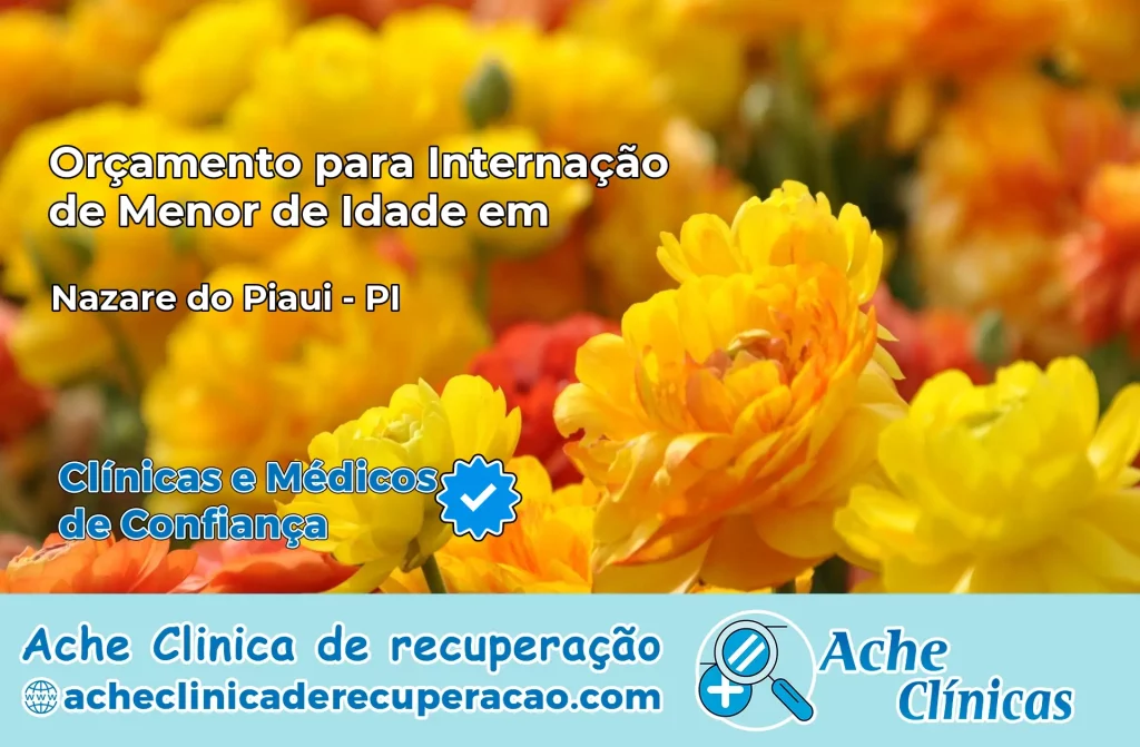 Internação de Menor de Idade em Nazaré do Piauí – PI