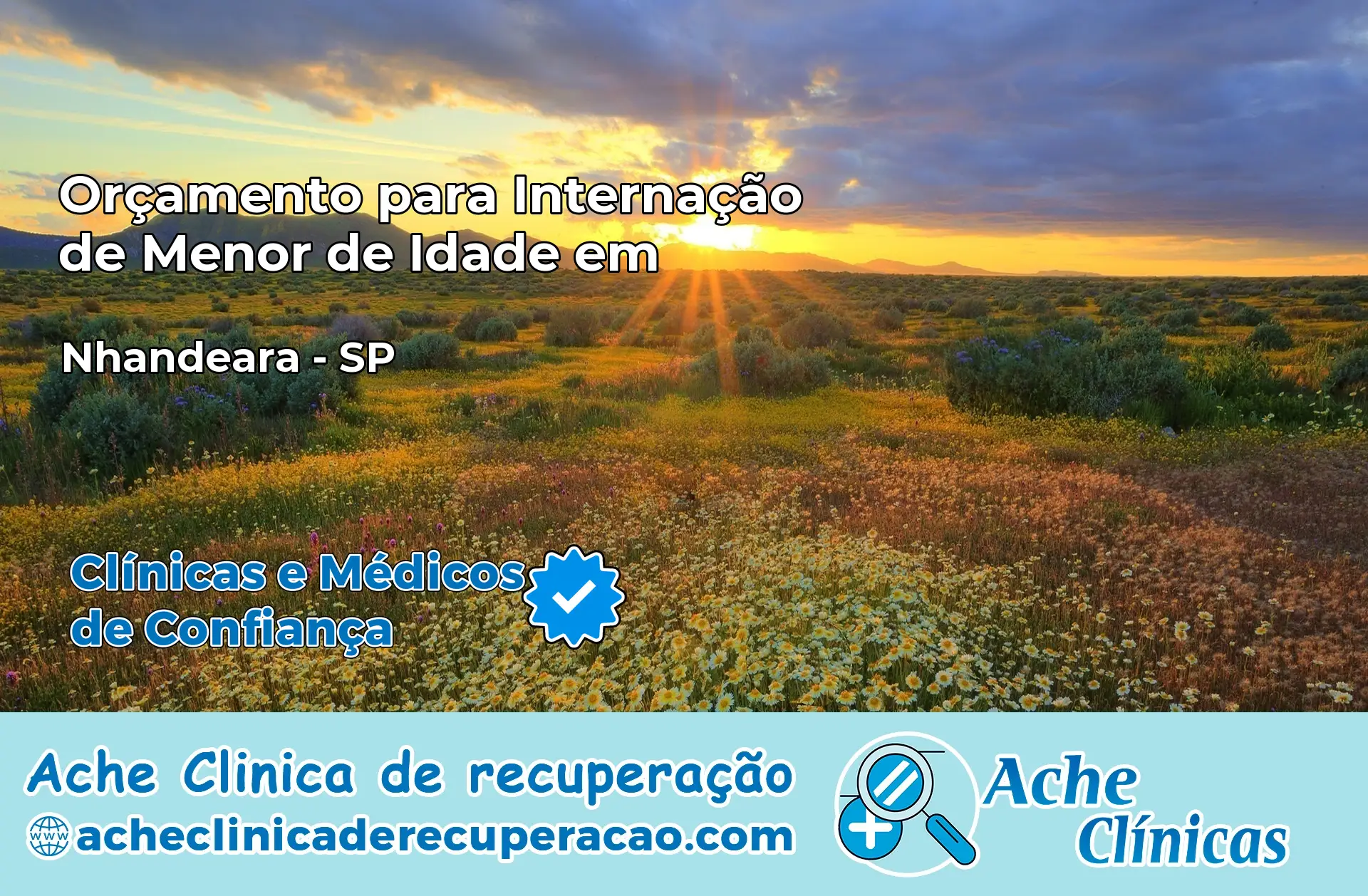 Internação de Menor de Idade em Nhandeara – SP