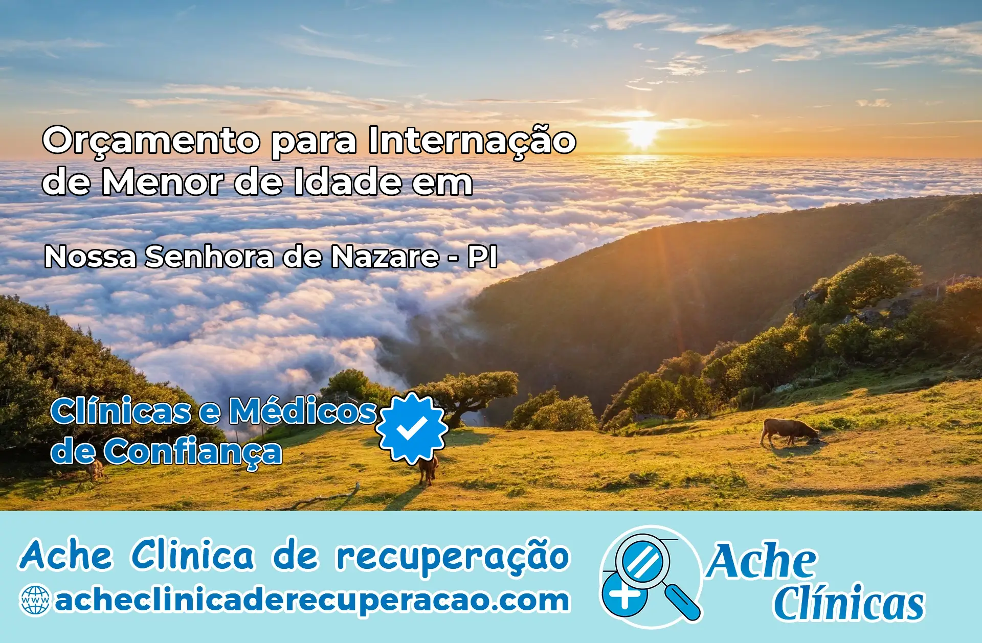 Internação de Menor de Idade em Nossa Senhora de Nazaré – PI
