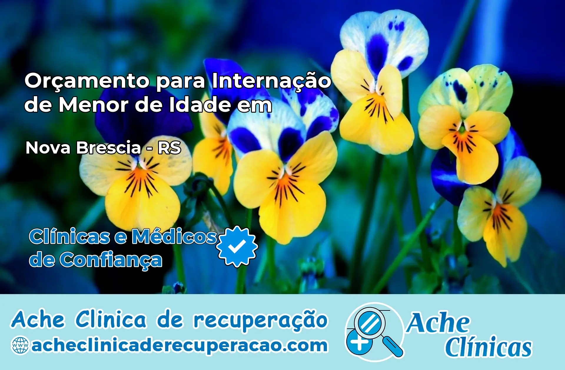 Internação de Menor de Idade em Nova Bréscia – RS
