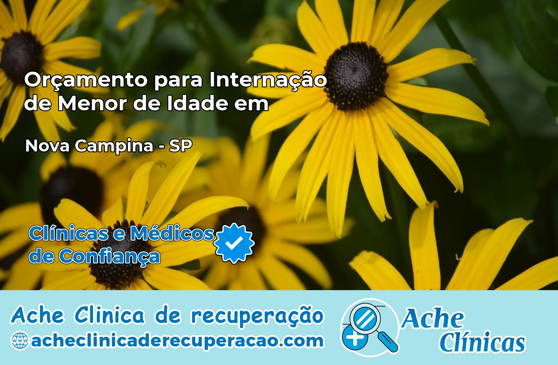 Internação de Menor de Idade em Nova Campina – SP