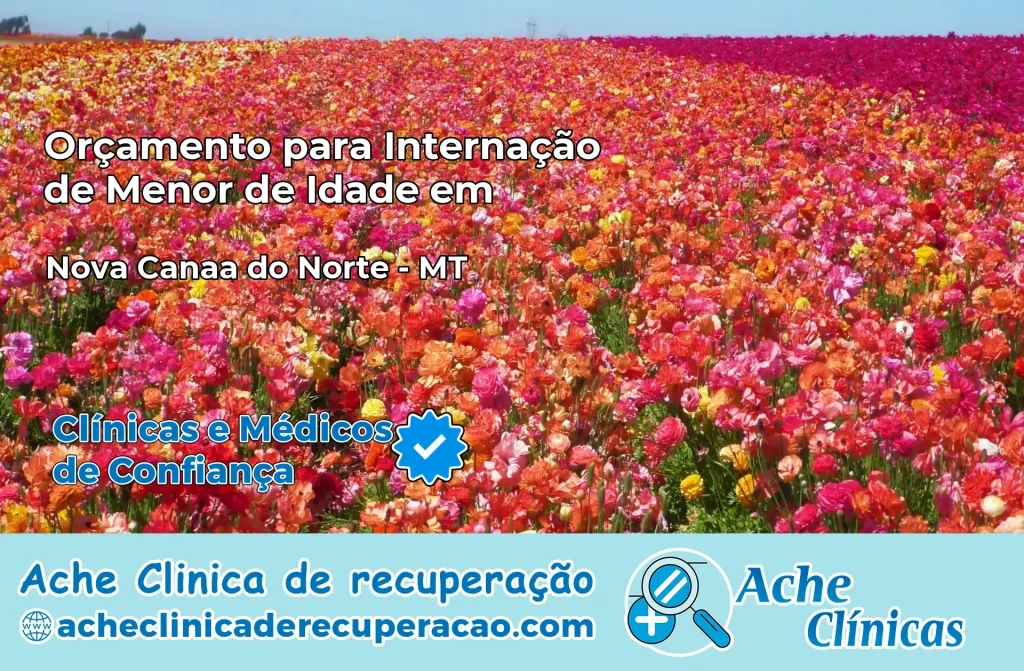 Internação de Menor de Idade em Nova Canaã do Norte – MT