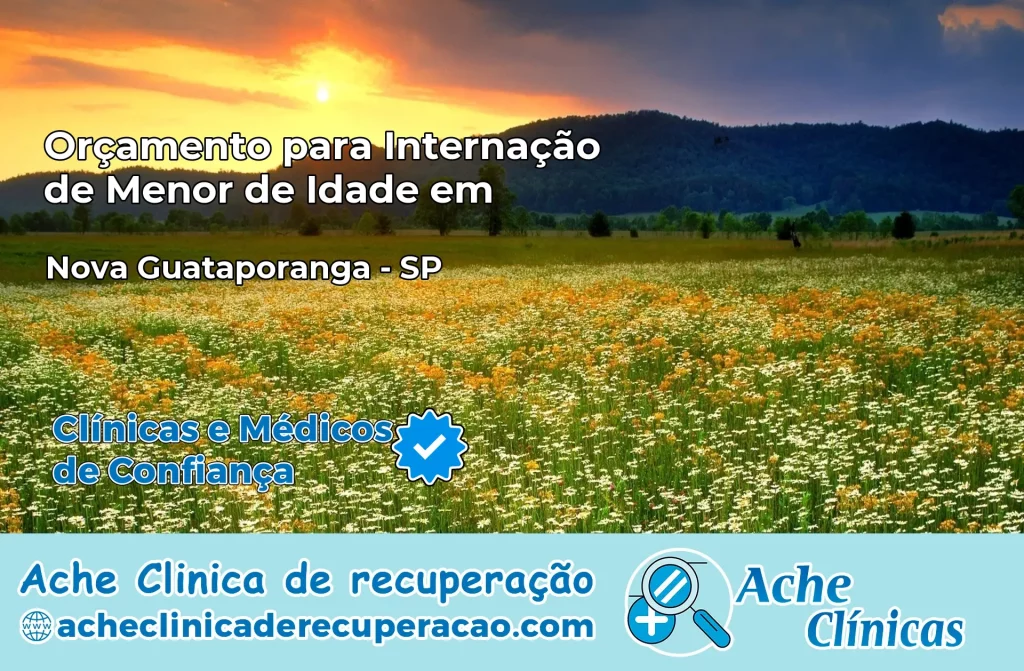 Internação de Menor de Idade em Nova Guataporanga – SP