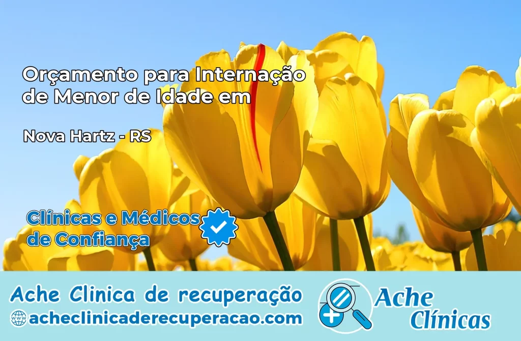 Internação de Menor de Idade em Nova Hartz – RS