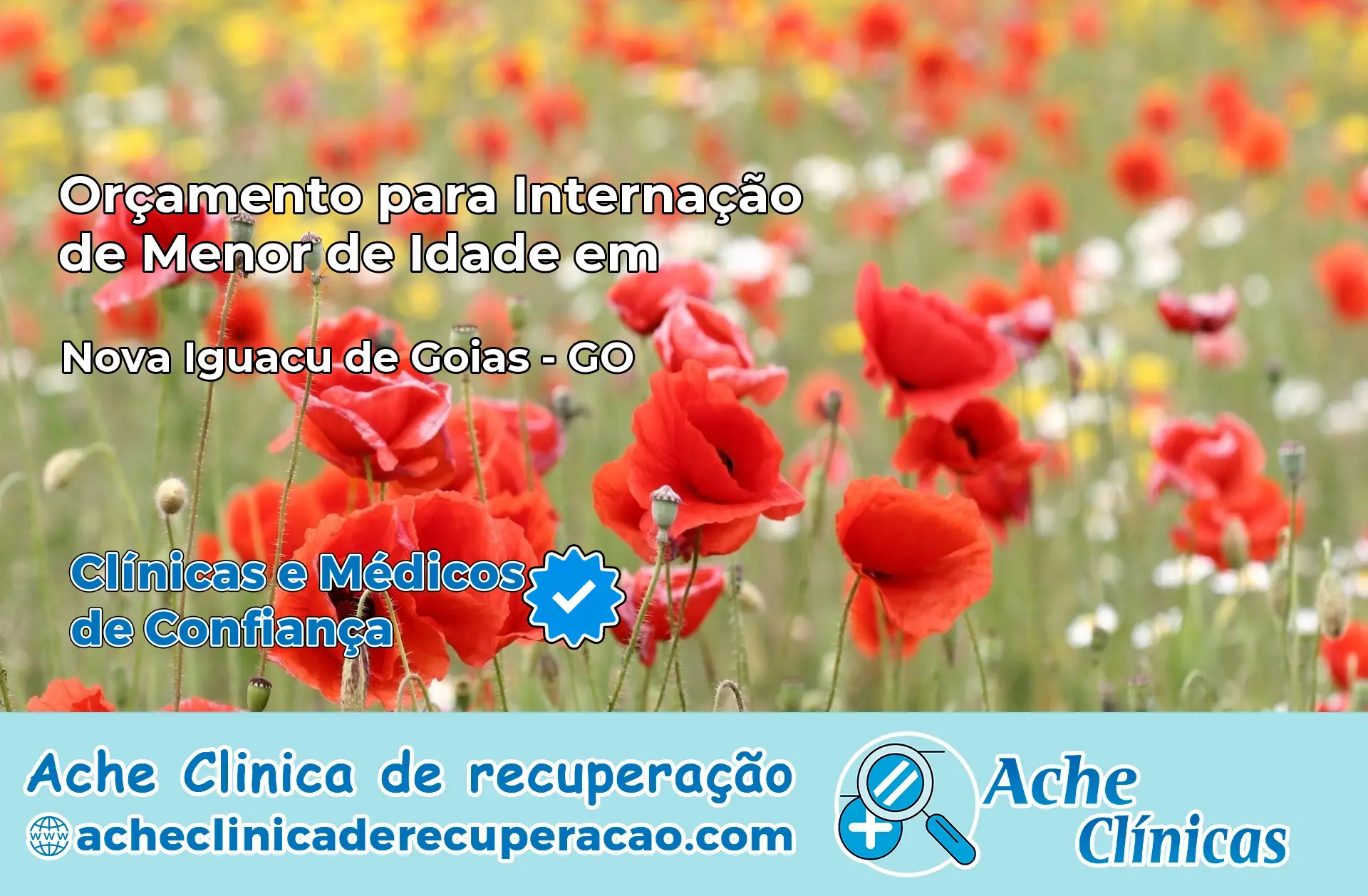 Internação de Menor de Idade em Nova Iguaçu de Goiás – GO