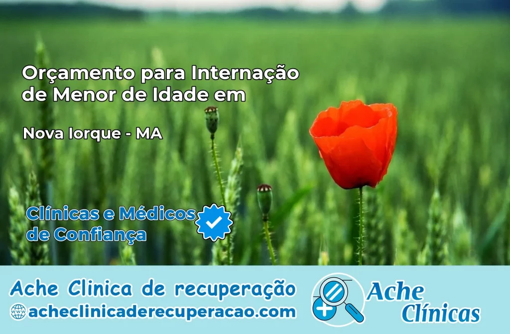 Internação de Menor de Idade em Nova Iorque – MA