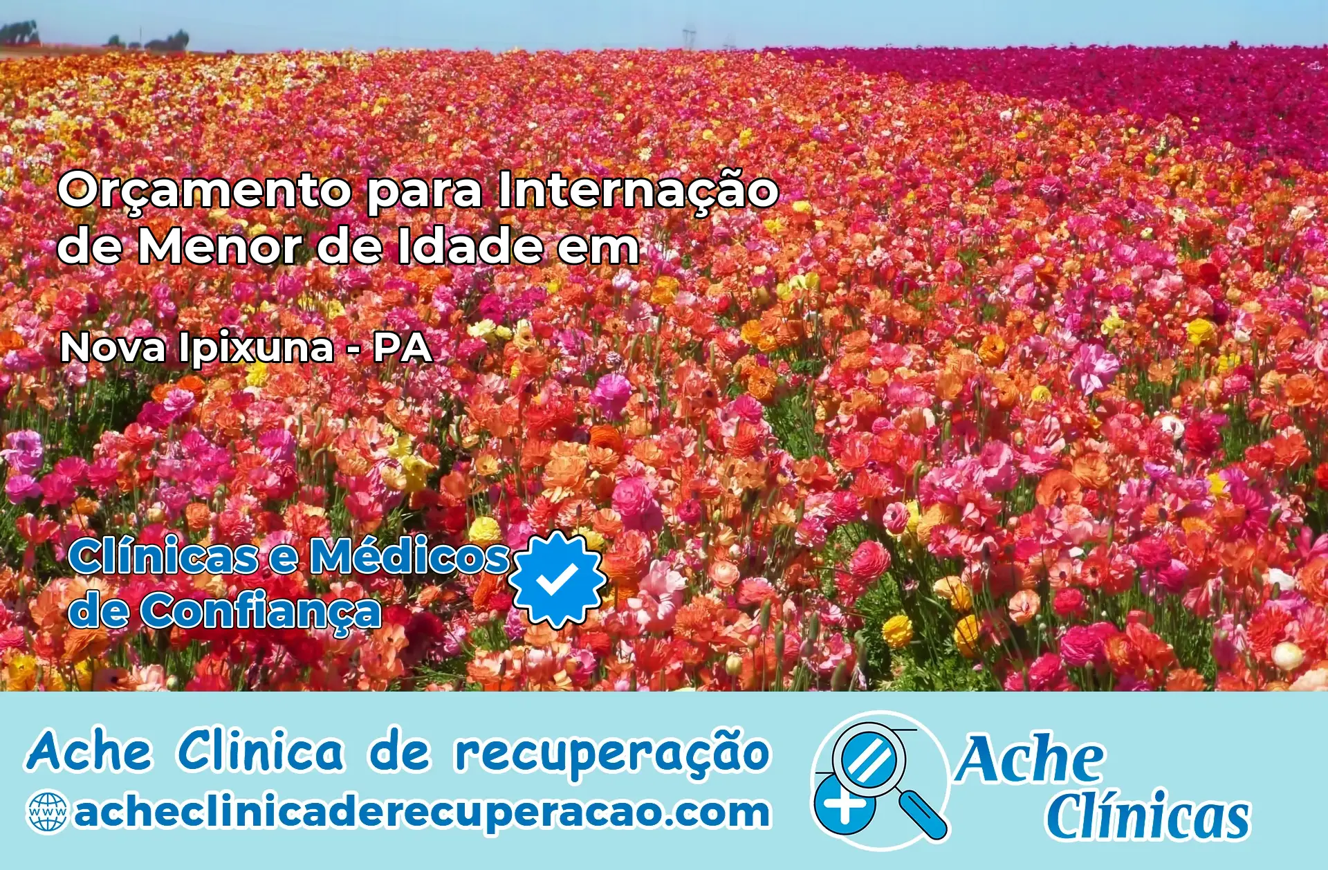 Internação de Menor de Idade em Nova Ipixuna – PA