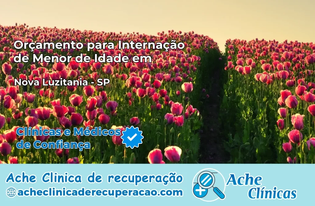 Internação de Menor de Idade em Nova Luzitânia – SP