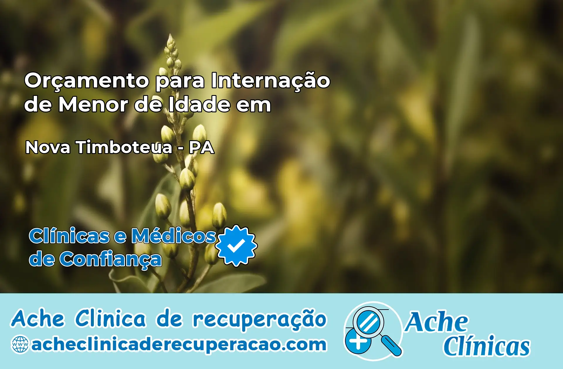 Internação de Menor de Idade em Nova Timboteua – PA