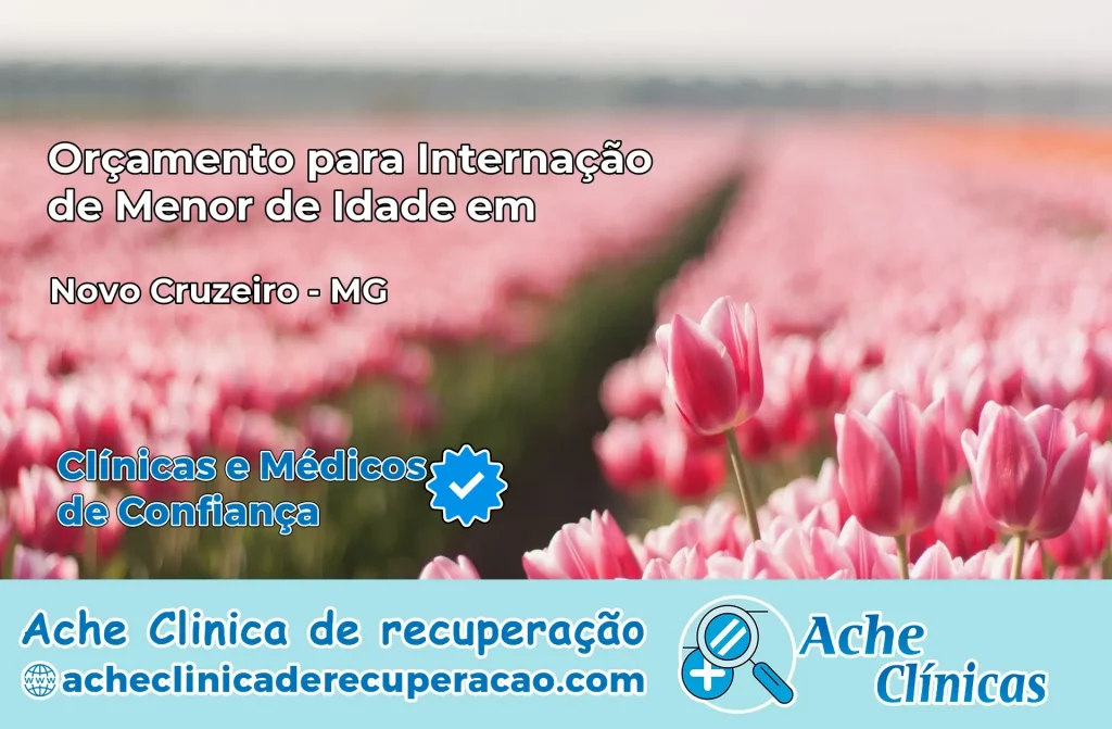 Internação de Menor de Idade em Novo Cruzeiro – MG
