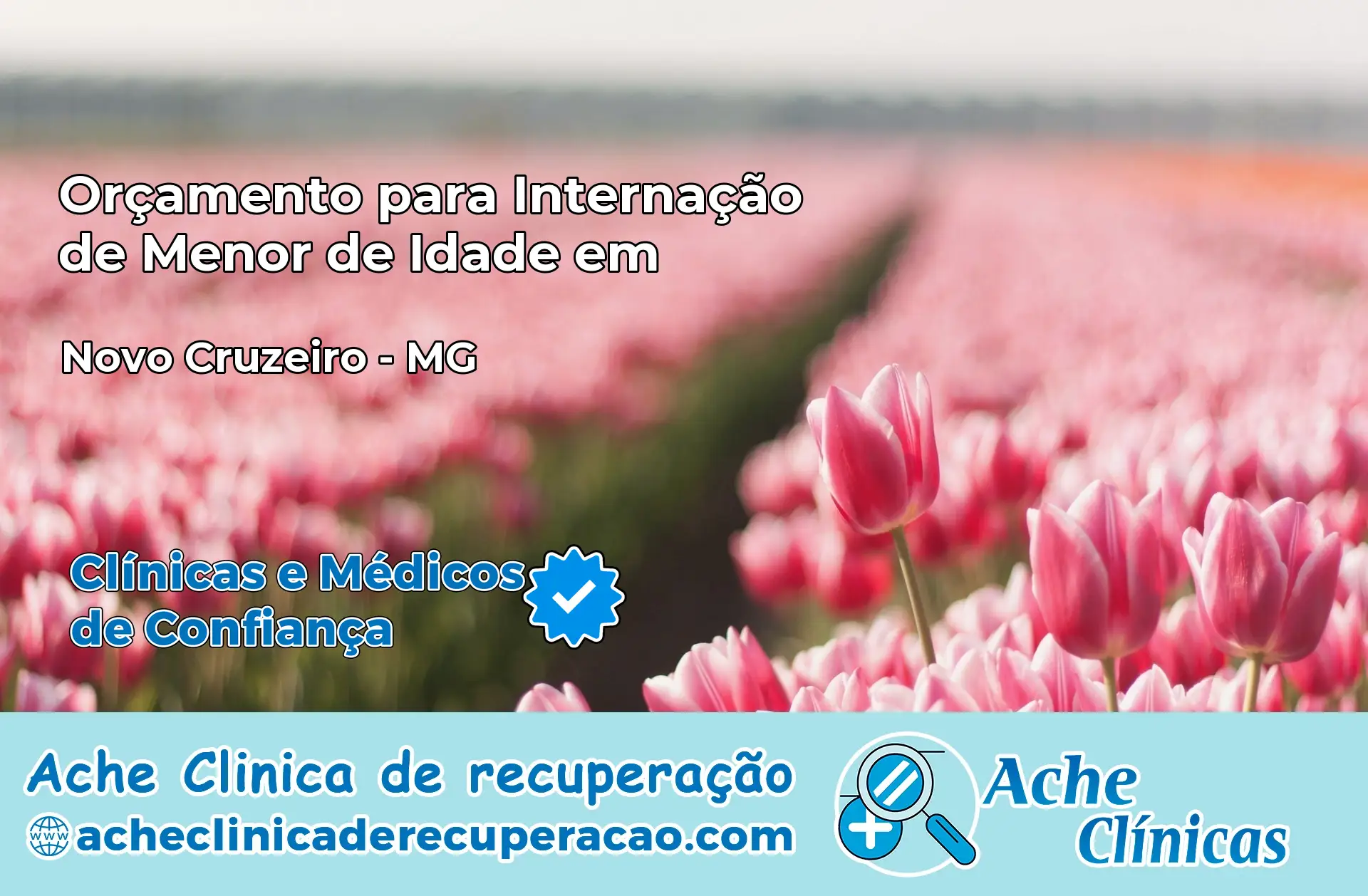 Internação de Menor de Idade em Novo Cruzeiro – MG