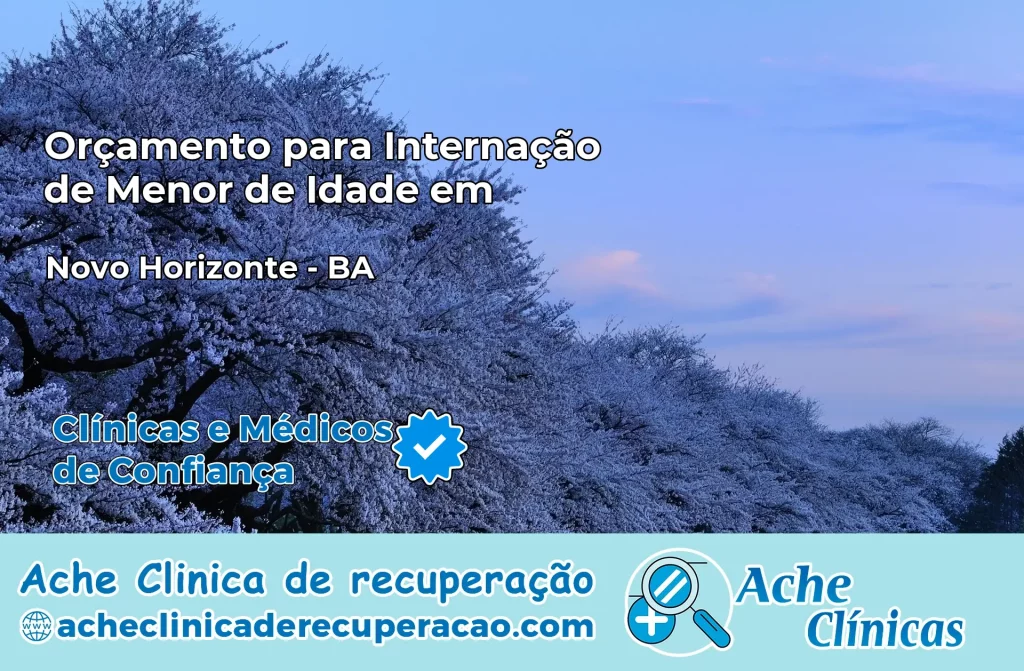 Internação de Menor de Idade em Novo Horizonte – BA
