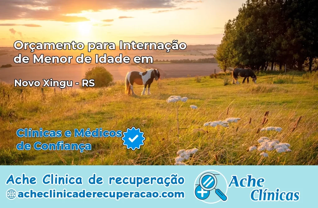 Internação de Menor de Idade em Novo Xingu – RS