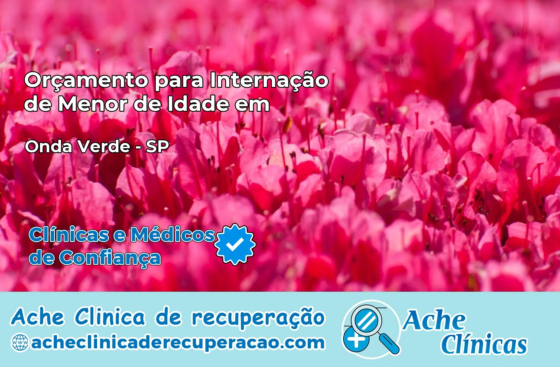Internação de Menor de Idade em Onda Verde – SP