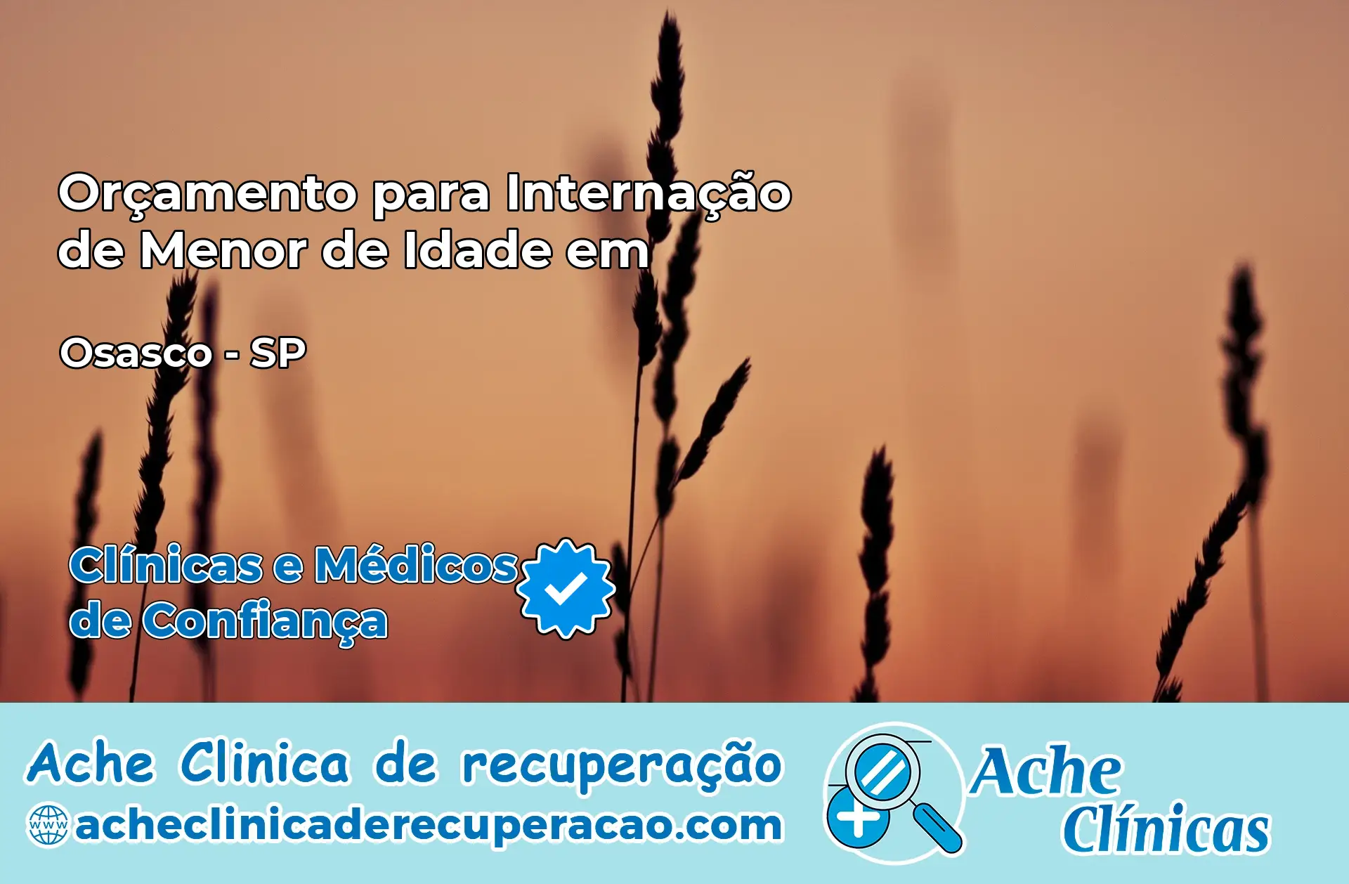 Internação de Menor de Idade em Osasco – SP