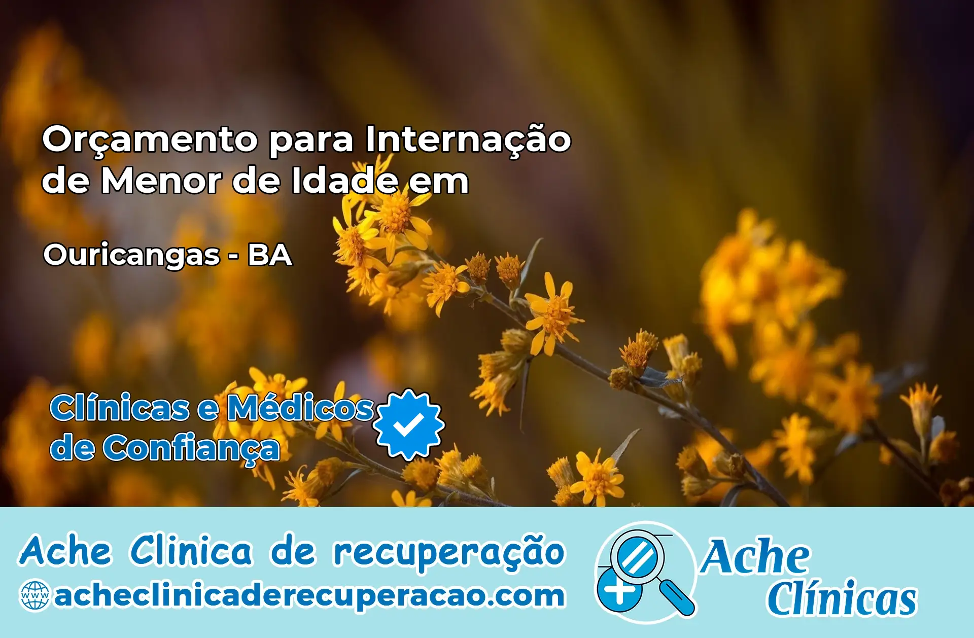 Internação de Menor de Idade em Ouriçangas – BA