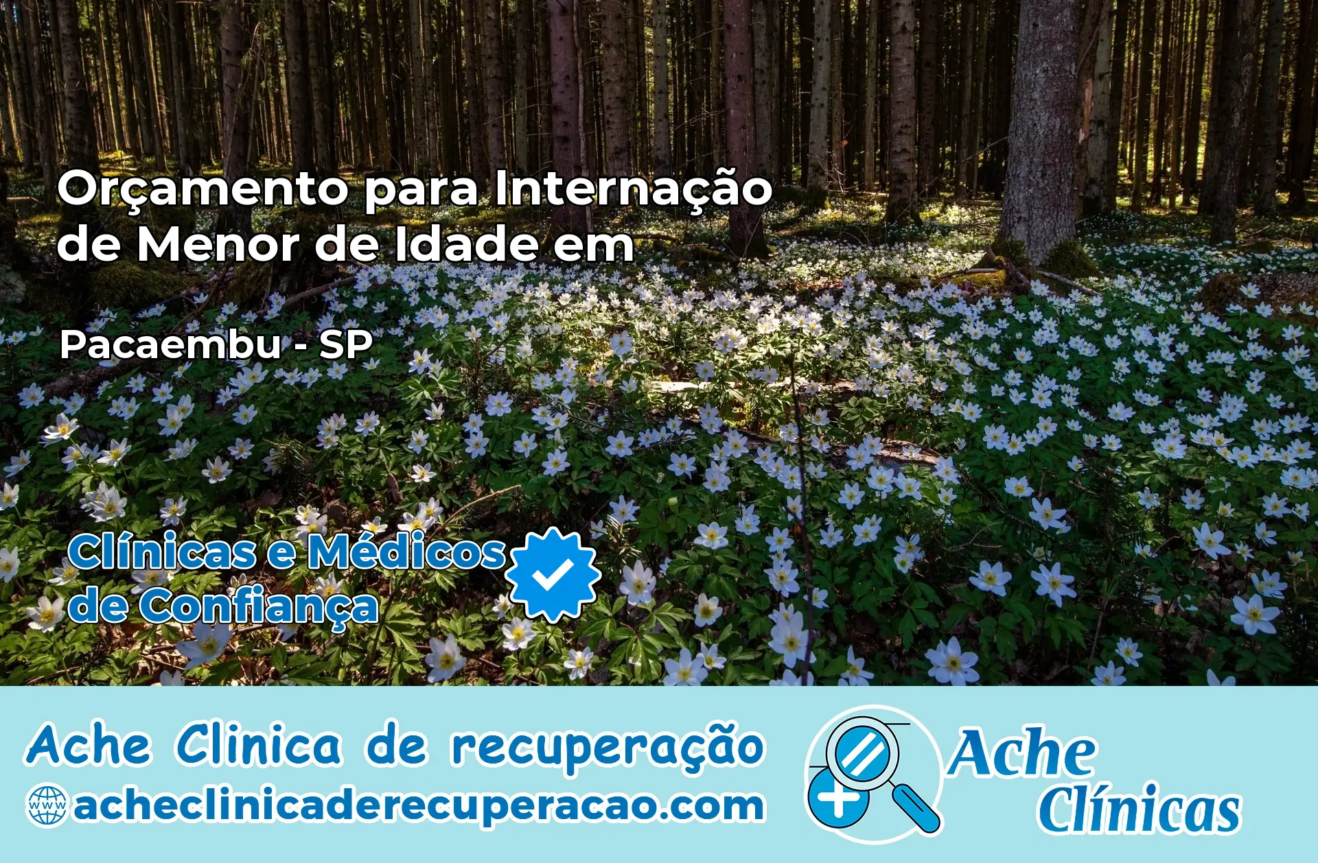 Internação de Menor de Idade em Pacaembu – SP