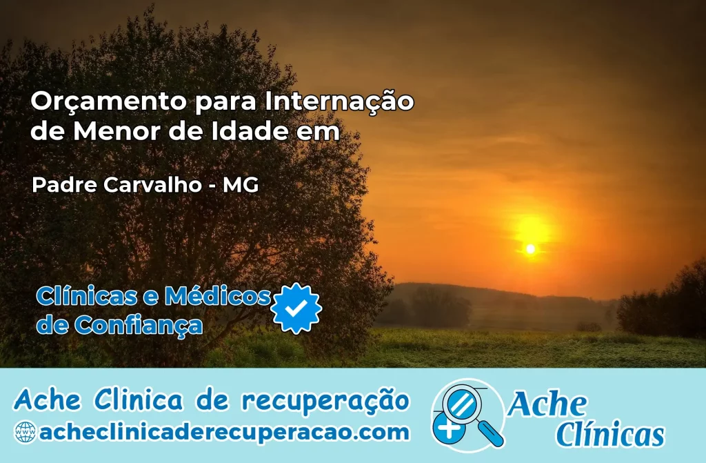 Internação de Menor de Idade em Padre Carvalho – MG