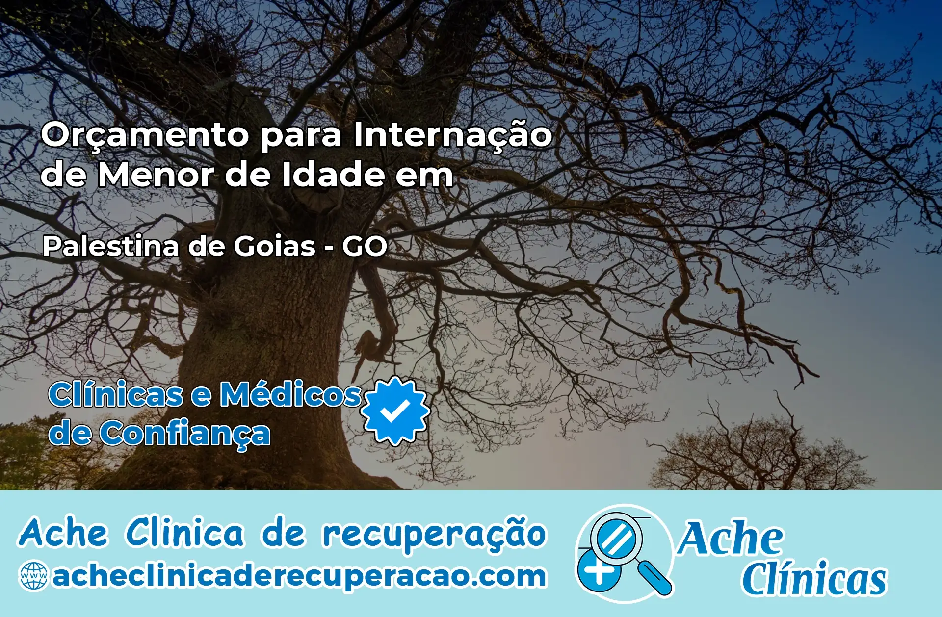 Internação de Menor de Idade em Palestina de Goiás – GO