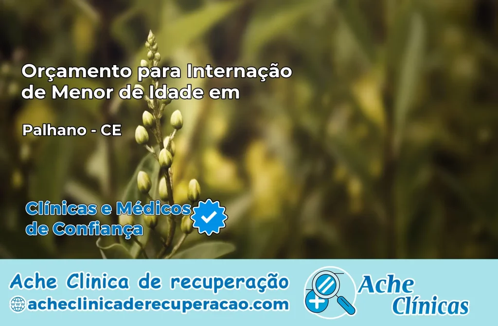 Internação de Menor de Idade em Palhano – CE