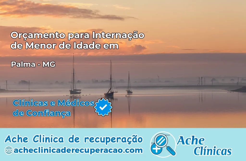 Internação de Menor de Idade em Palma – MG