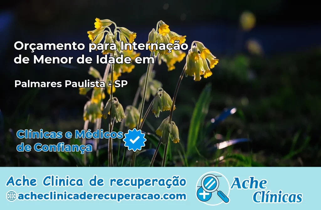 Internação de Menor de Idade em Palmares Paulista – SP