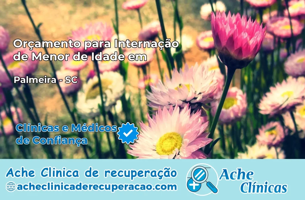 Internação de Menor de Idade em Palmeira – SC