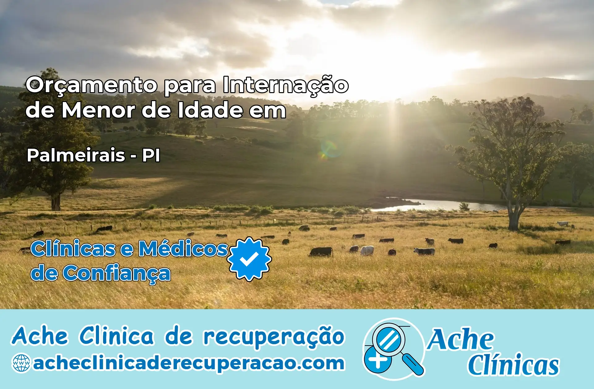 Internação de Menor de Idade em Palmeirais – PI