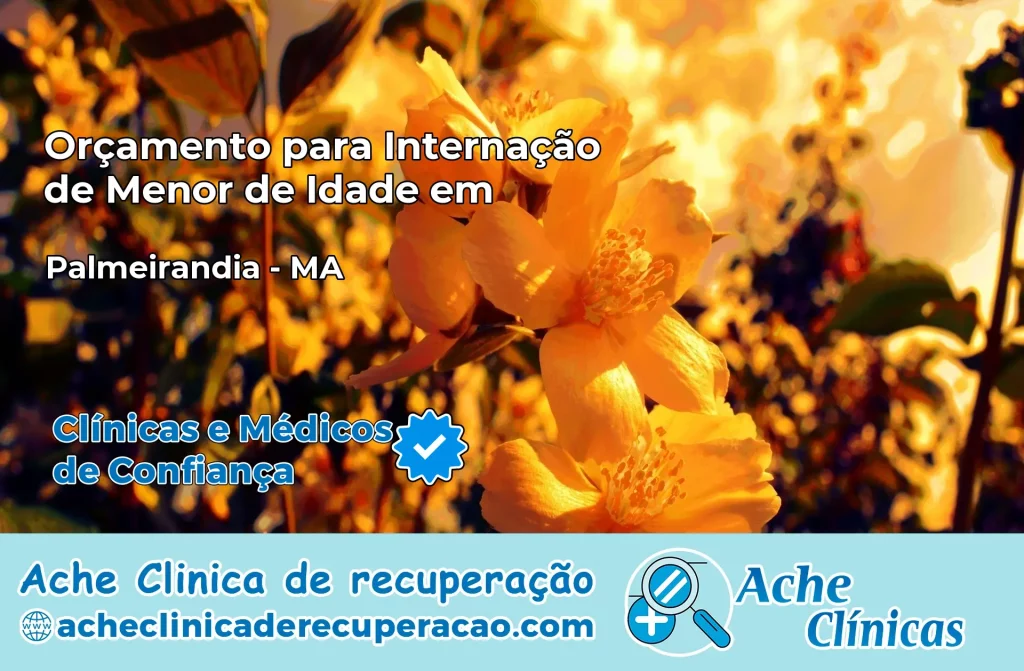 Internação de Menor de Idade em Palmeirândia – MA