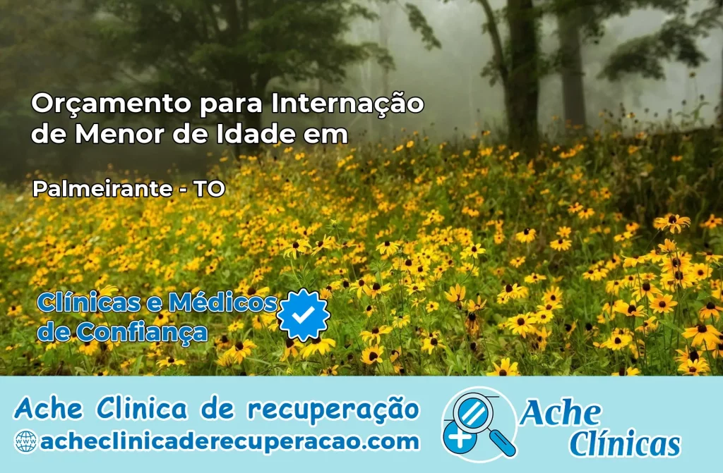 Internação de Menor de Idade em Palmeirante – TO