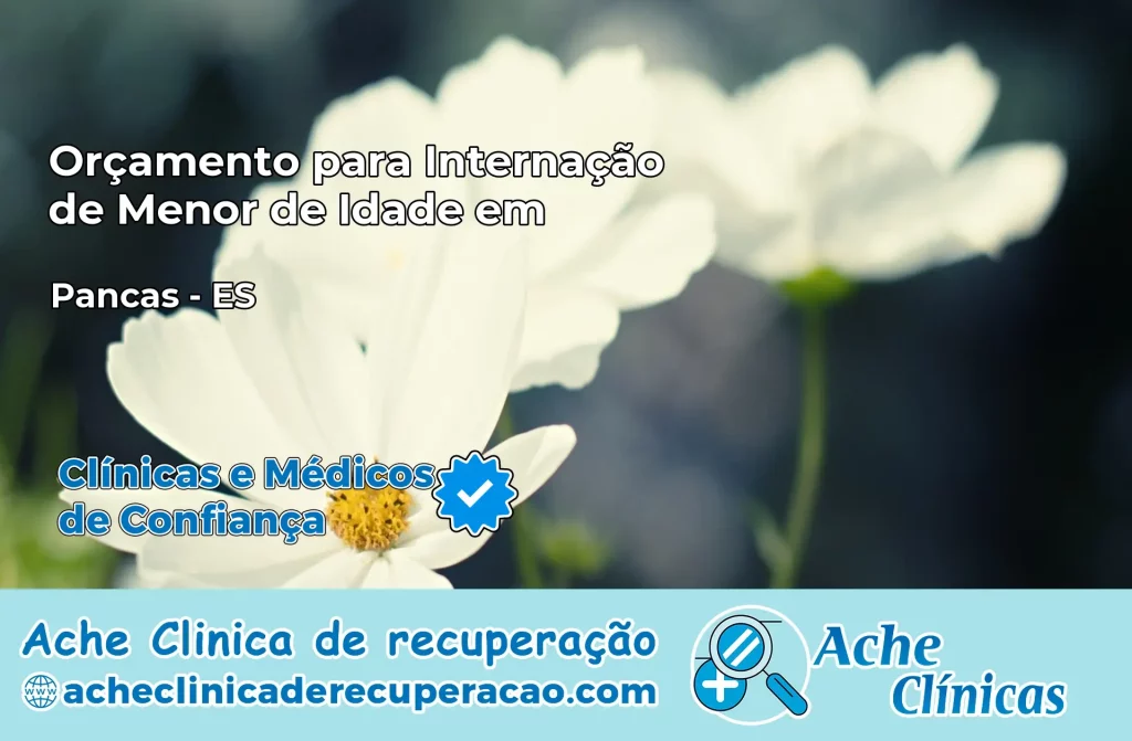 Internação de Menor de Idade em Pancas – ES