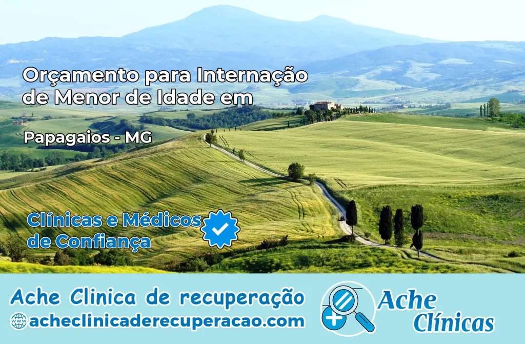 Internação de Menor de Idade em Papagaios – MG