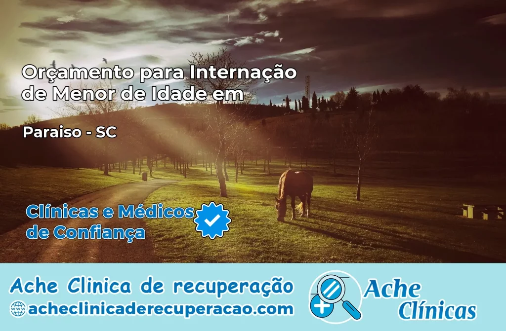 Internação de Menor de Idade em Paraíso – SC