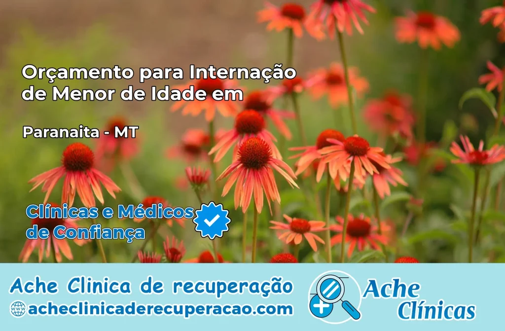 Internação de Menor de Idade em Paranaíta – MT