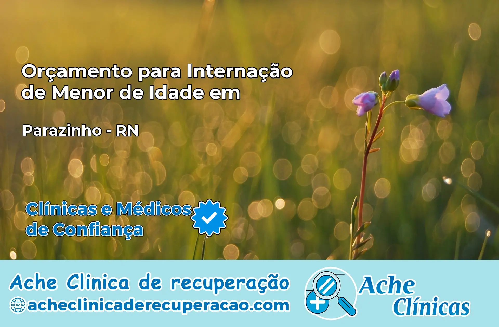 Internação de Menor de Idade em Parazinho – RN
