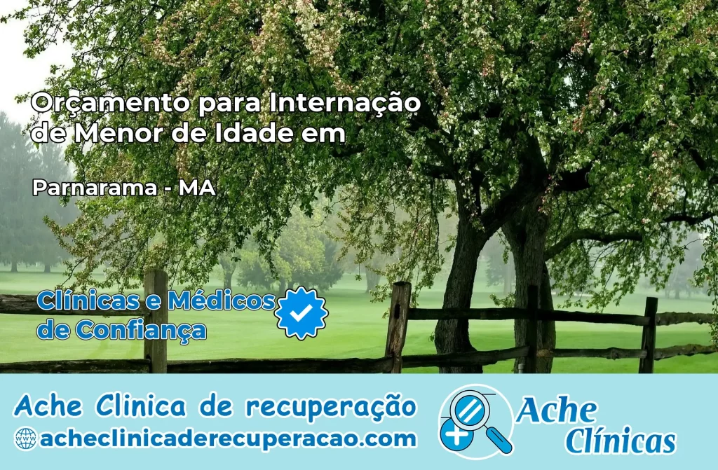 Internação de Menor de Idade em Parnarama – MA