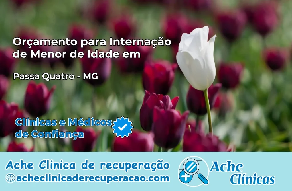 Internação de Menor de Idade em Passa Quatro – MG