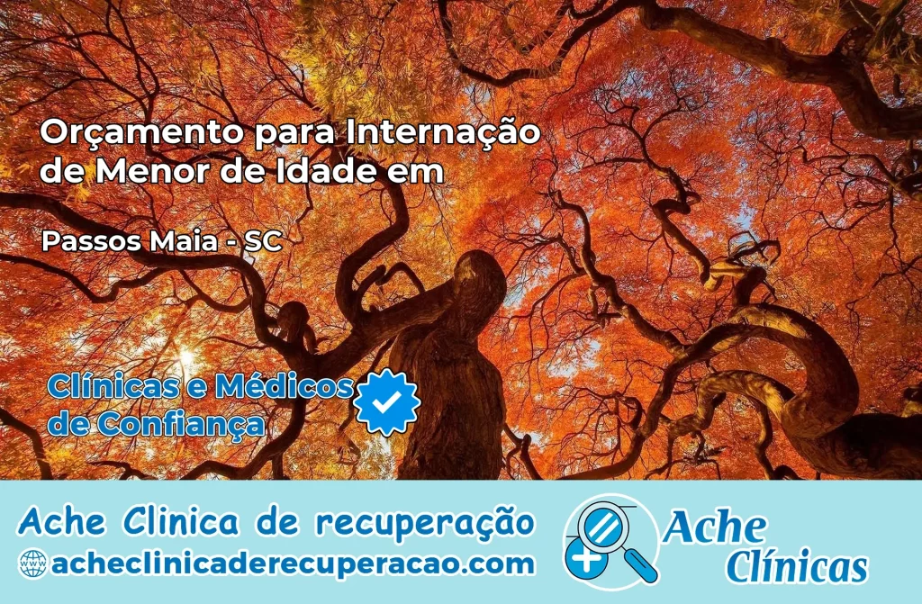 Internação de Menor de Idade em Passos Maia – SC