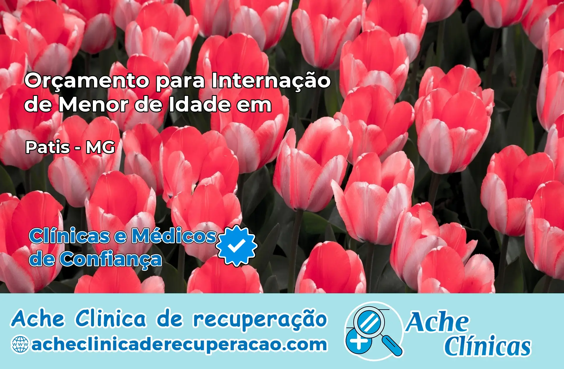 Internação de Menor de Idade em Patis – MG