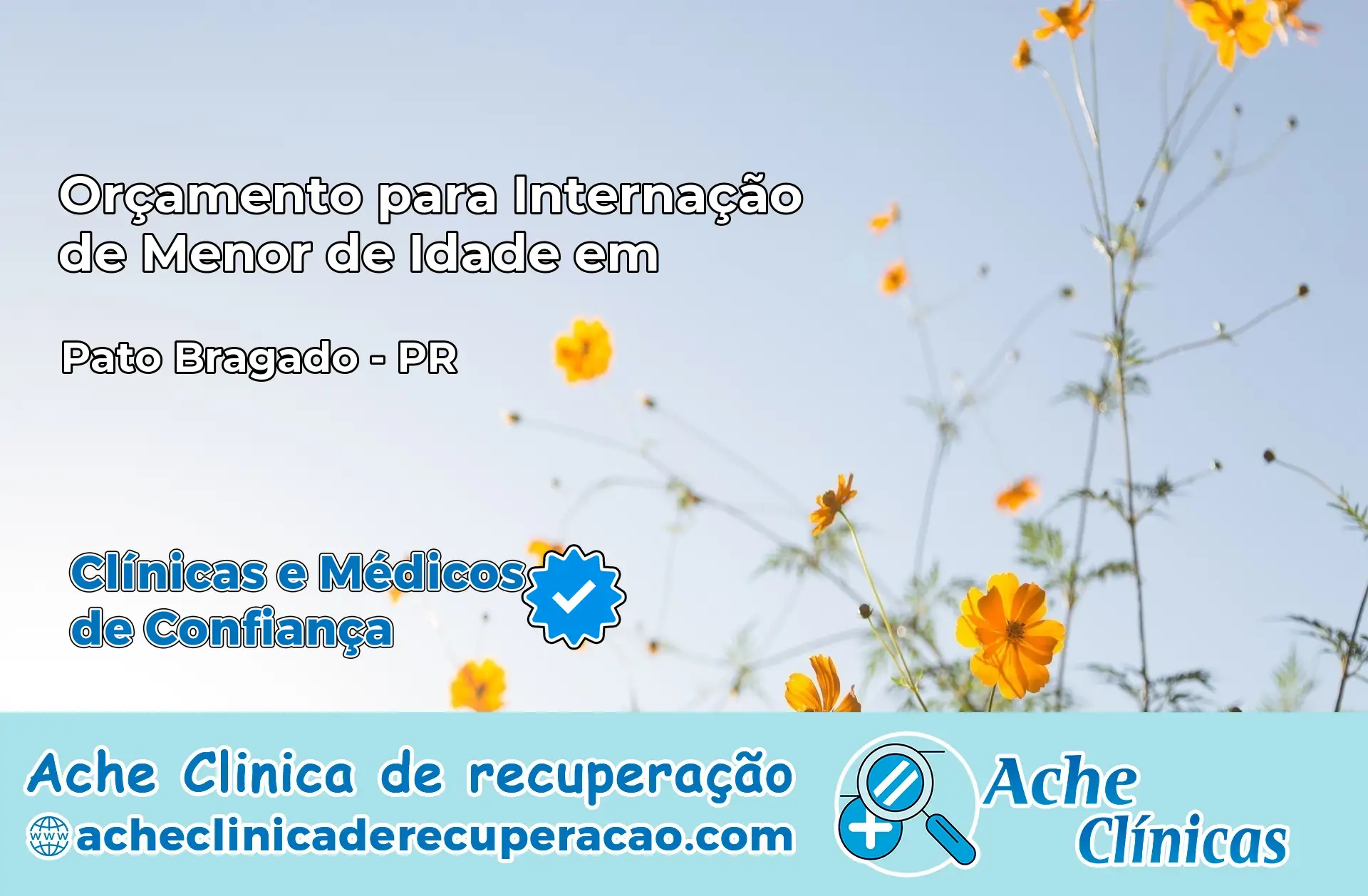 Internação de Menor de Idade em Pato Bragado – PR