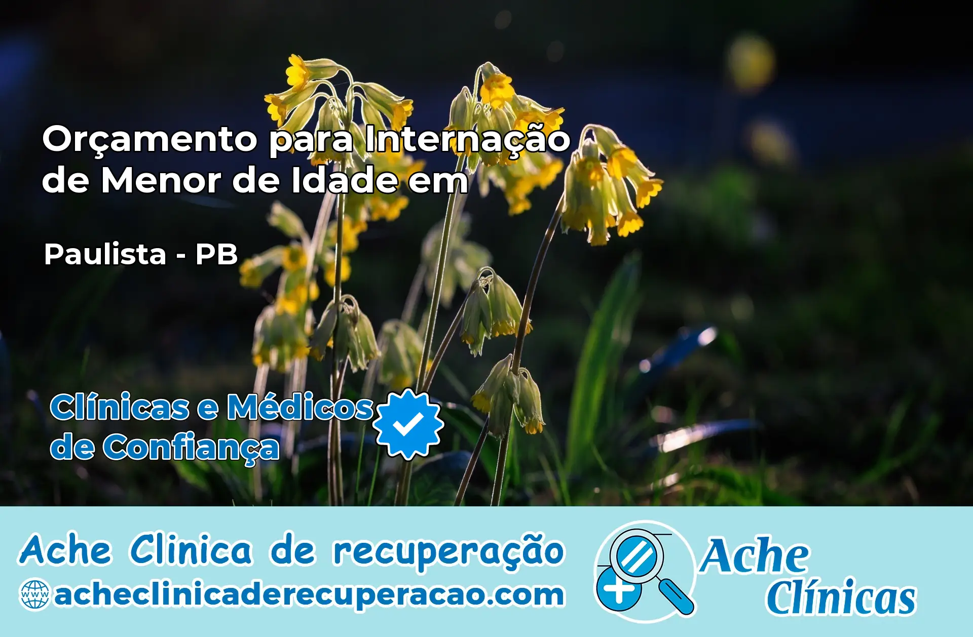 Internação de Menor de Idade em Paulista – PB