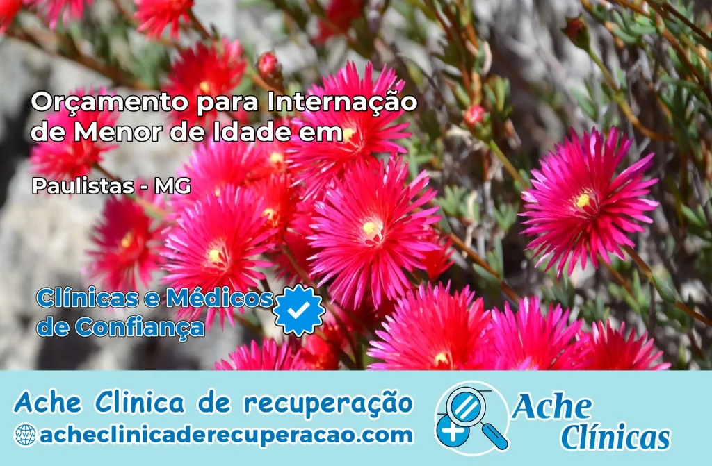 Internação de Menor de Idade em Paulistas – MG