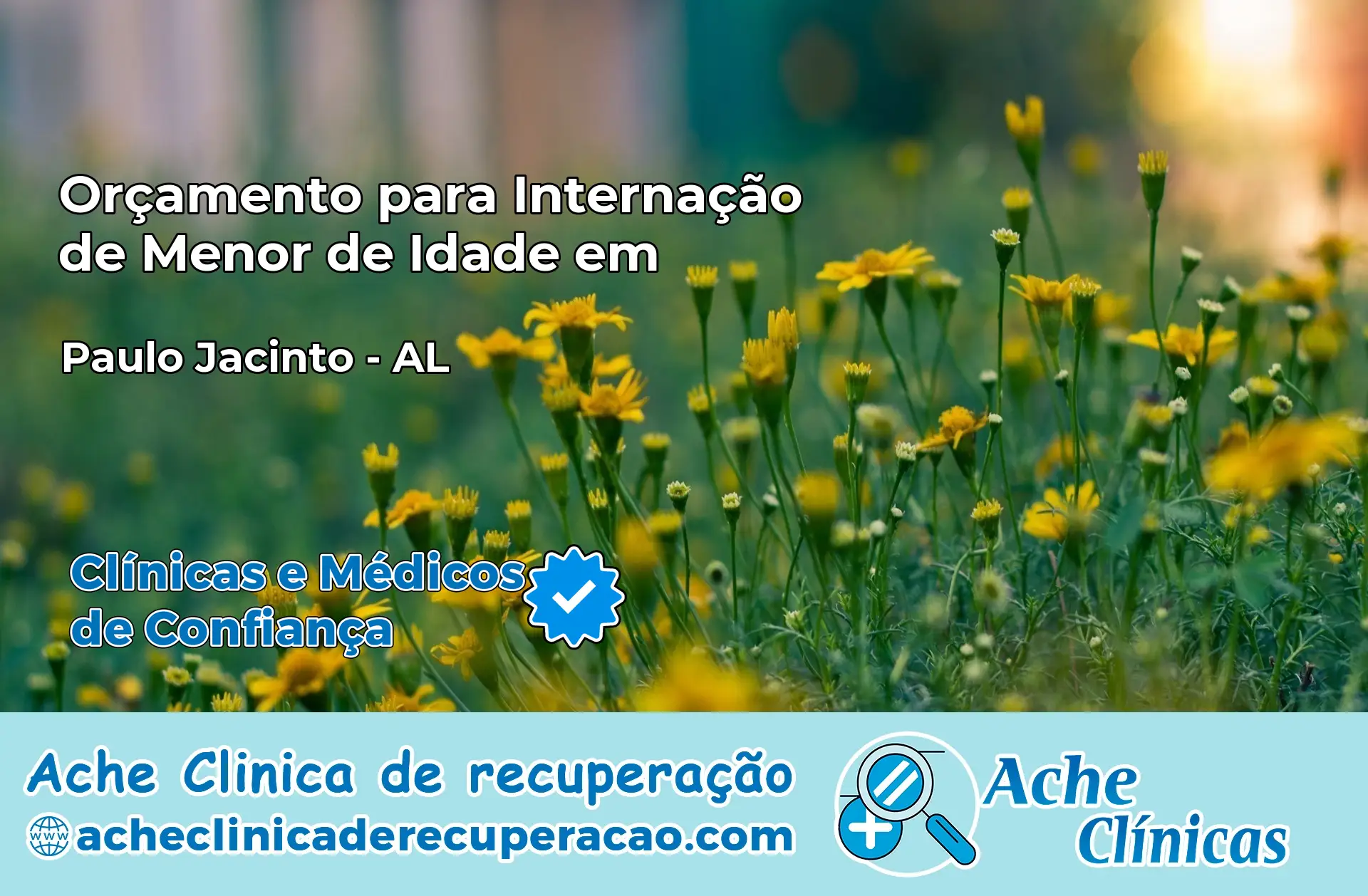 Internação de Menor de Idade em Paulo Jacinto – AL