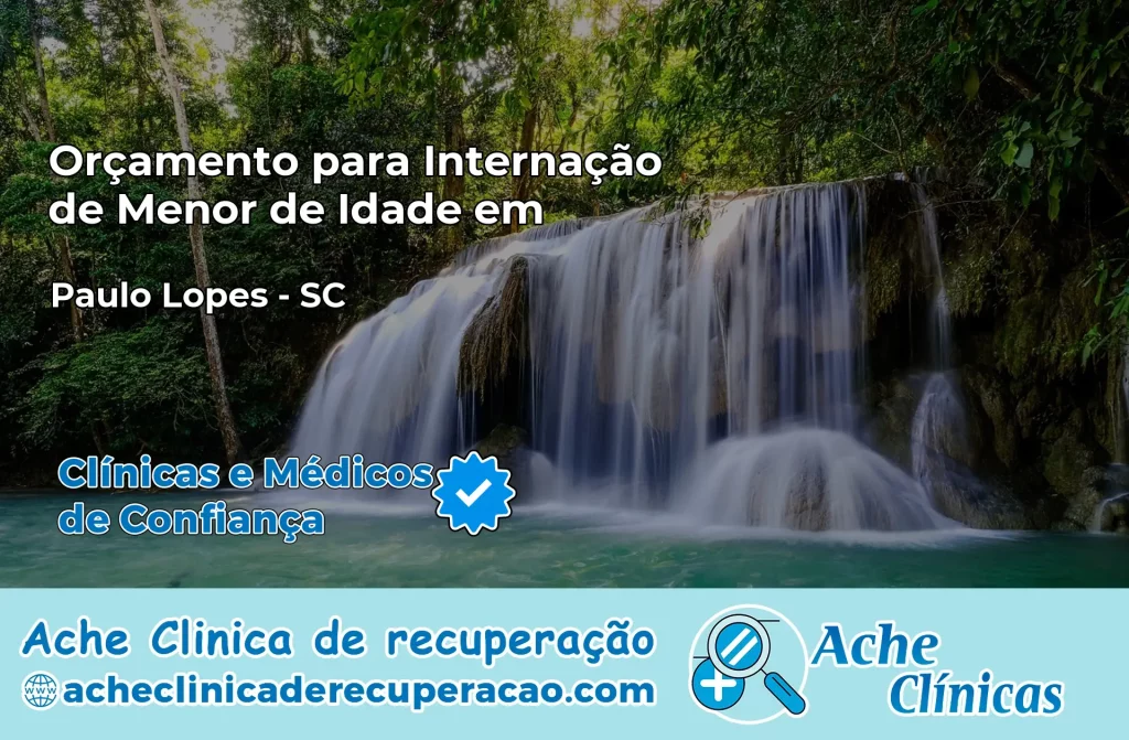Internação de Menor de Idade em Paulo Lopes – SC