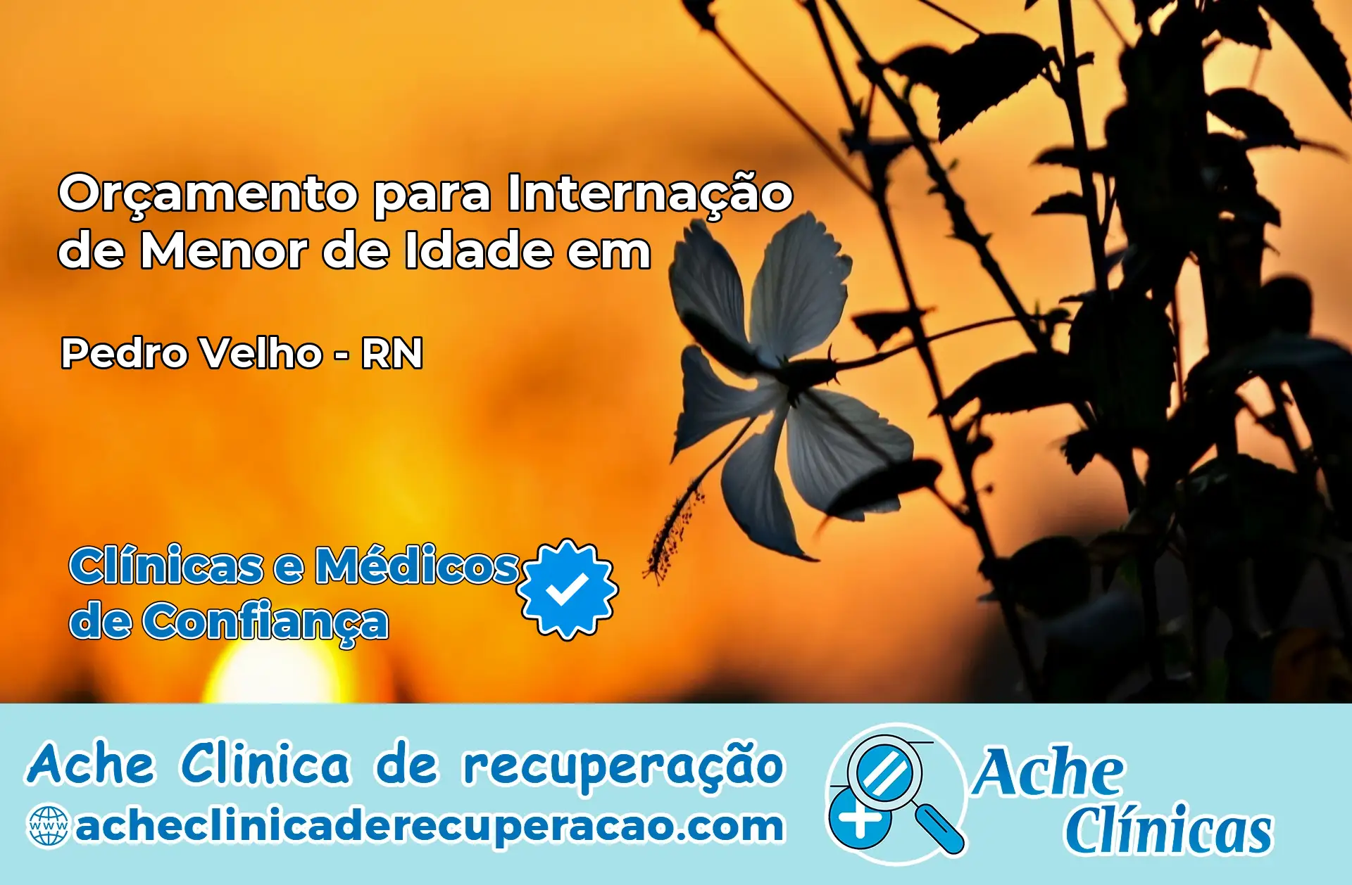 Internação de Menor de Idade em Pedro Velho – RN