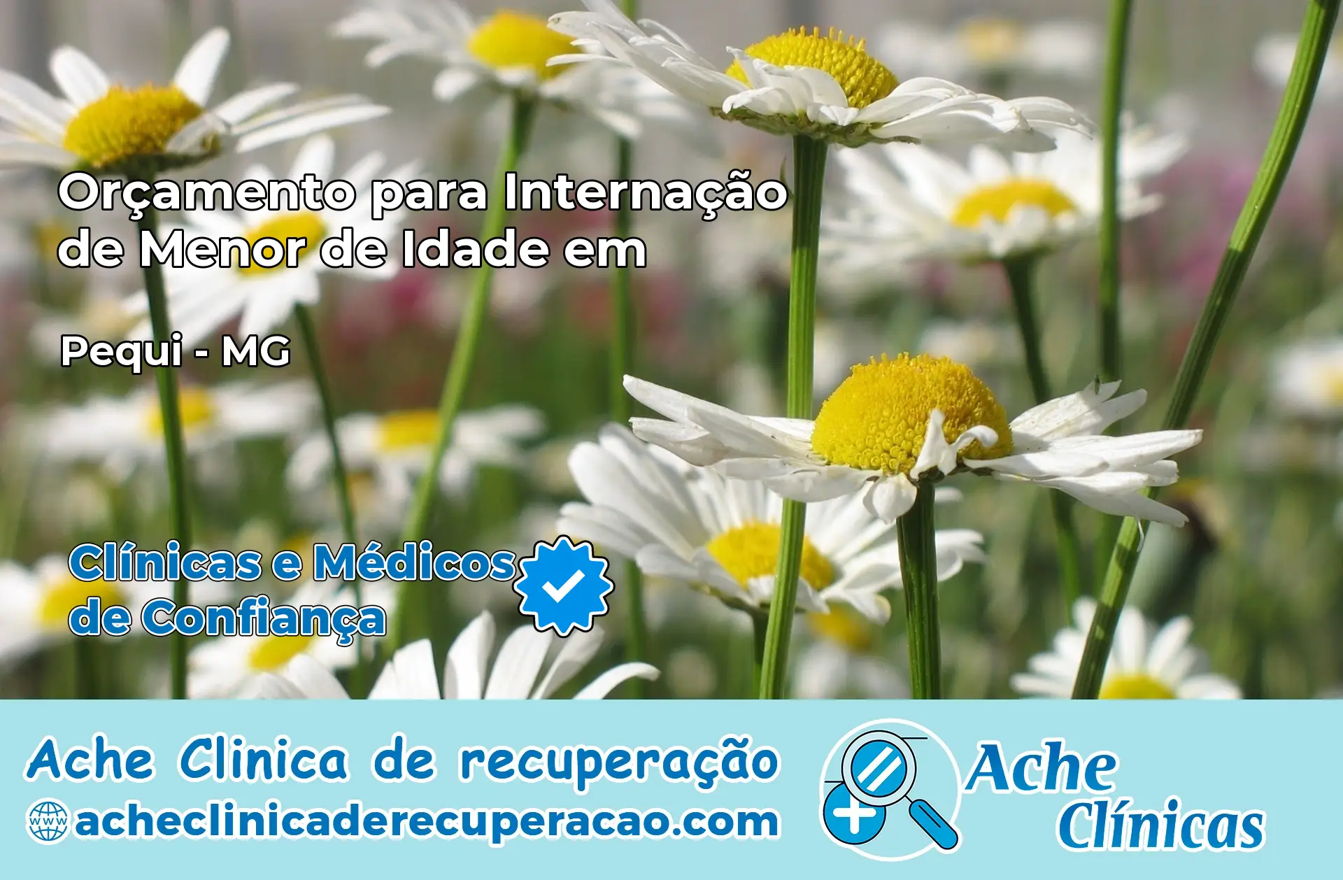Internação de Menor de Idade em Pequi – MG
